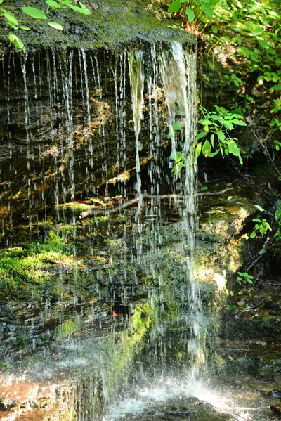 DSC_2808 (Large).JPG